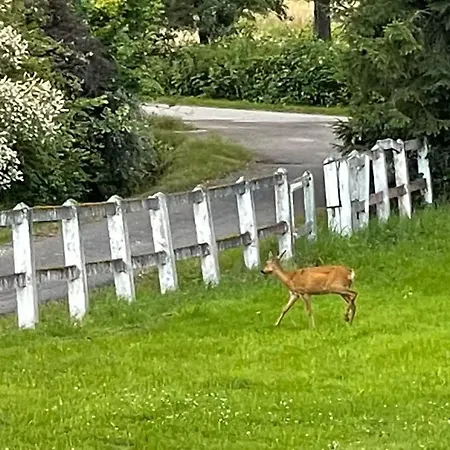 Atypique En A Larmorique En Pleine Nature Chalet